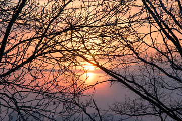 Fototapeta premium wonderful sunset through the branches of trees
