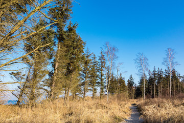 Strand an der Ostseeküste bei Graal Müritz