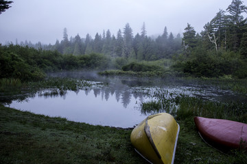 foggy early morning