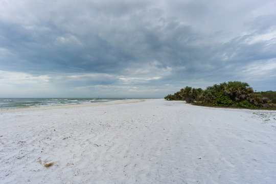 USA, Florida, Thunderstorm coming over honeymoon island white sand beach with green plants