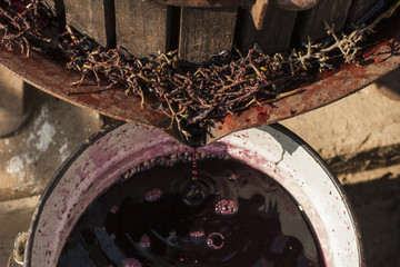 Wine-making. Technology of wine production. The folk tradition of making wine. Wine production in...