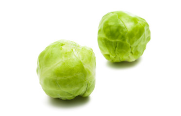 brussels sprouts isolated