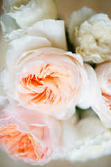 Peache roses in soft color, Made with blur style for background