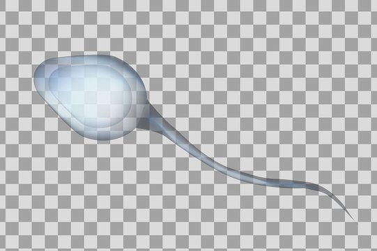 Blue sperm cell vector illustration. 3d spermatozoid isolated on transparent background.