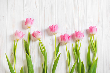Pink tulip flower on wooden background