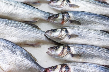 fresh russian fish 5