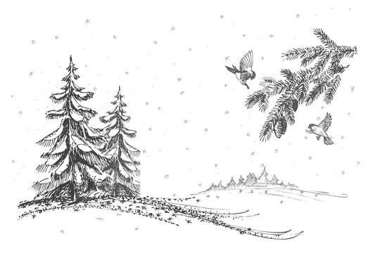 Hand drawn landscape with with two firs, hills, spruce branches and birds. Vintage vector illustration