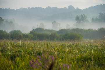 amazing landscape morning mist in the countryside.