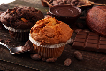 Chocolate muffin and nut muffin, homemade bakery on dark background