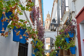 Street in Andalusia