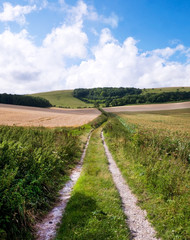 Fototapeta na wymiar Soth Downs, East Sussex, UK, a country lane track leading into rolling sussex field