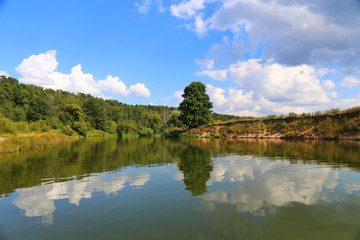 beautiful summer landscape.The tree and the blue sky are reflected in the water