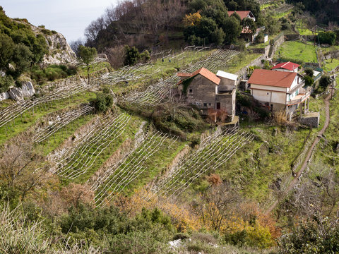 Italy, Campania, Praiano, Agerola Sentiero degli Dei