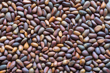 Pine nuts background or backdrop
