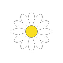 Simple white daisy flower vector illustration graphic, isolated on white background.
