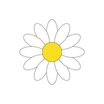 Simple white daisy flower vector illustration graphic, isolated on white background.