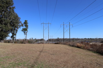 row of electric lines with field