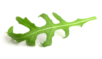 Green fresh rucola or arugula leaf isolated on white background