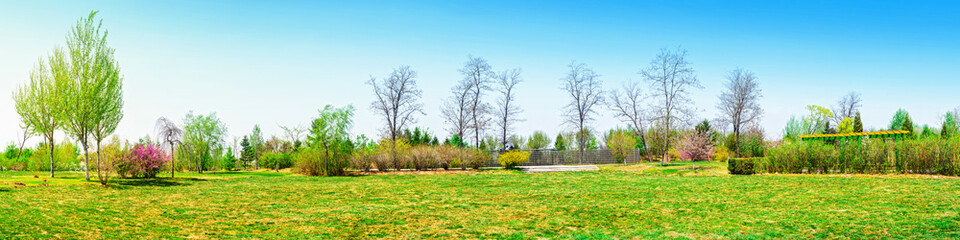 Obraz premium Park in early spring. Located in Shenyang Botanical Garden, Shenyang, Liaoning, China.