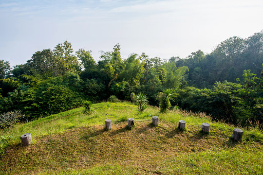 Old wooden stump chair on mountion