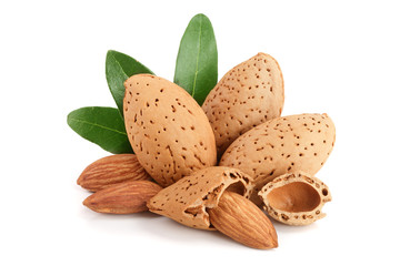 Group of almond nuts with leaves isolated on white background
