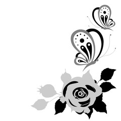 black butterfly, rose,isolated on a white