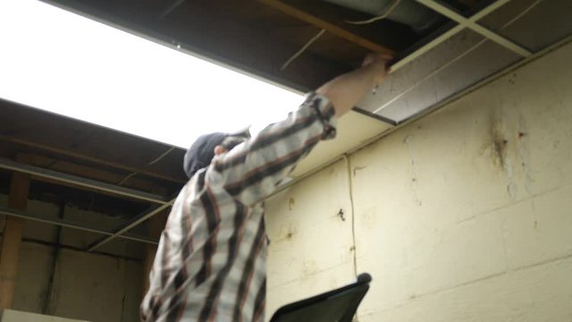 Young Contractor examines drop ceiling in unfinished basement