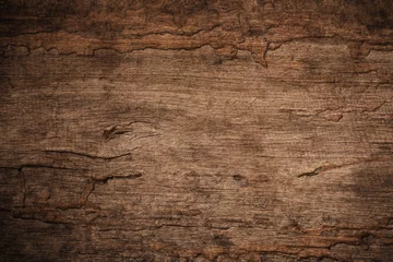 Fotobehang Hout Houtbederf met houttermieten, oude grunge donkere getextureerde houten achtergrond, het oppervlak van de oude bruine houttextuur