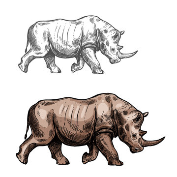 Rhinoceros vector sketch wild animal isolated icon