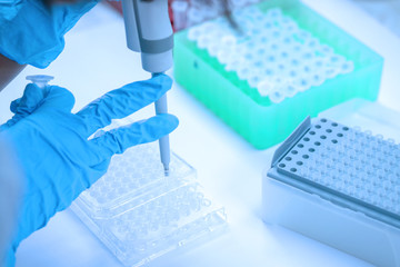 Scientist pipette dropping a sample into a test microtiter plate.