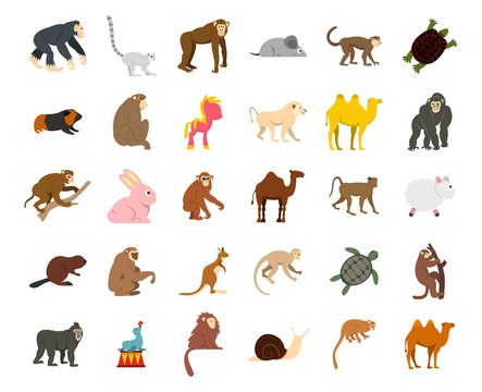 Animals icon set, flat style