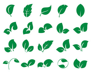 Leaf icons. Collection of 20 green symbols of leaves isolated on a white background. Vector illustration