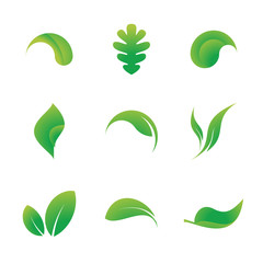 Collection of 9 leaf icons solated on a white background. Vector illustration