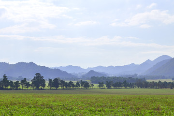 view of mountains jungle and field in Thailand