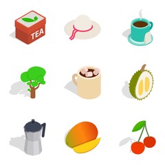 Nature business icons set, isometric style