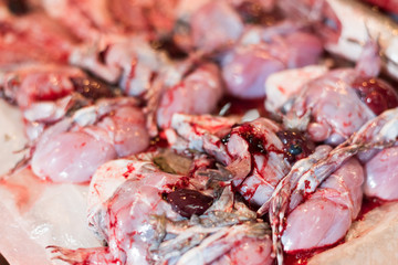 meat of frog