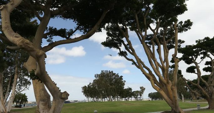 Embarcadero Marina Park in Sandiego California USA