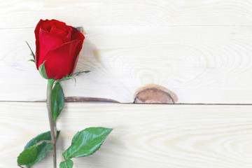 Red rose on wood background with copy space.