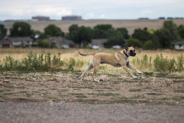 Running in the park - 3