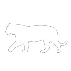 isolated, outline tiger goes on white background