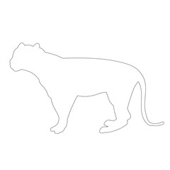 vector, isolated, outline tiger goes on white background