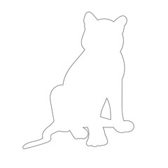 vector, isolated, contour tiger sitting on white background