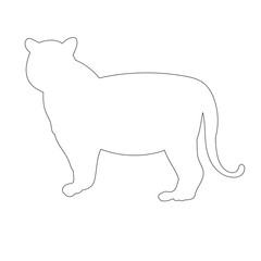  isolated, outline tiger on white background