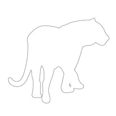 vector, isolated, outline tiger