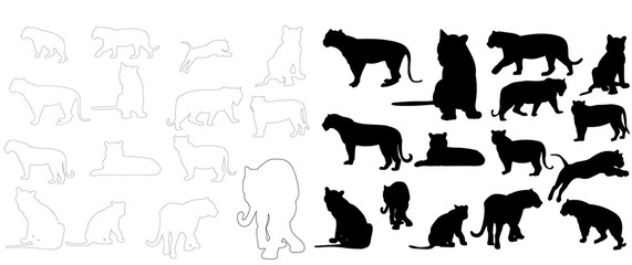 isolated sketch of a tiger, silhouette of a tiger, collection