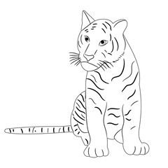 vector, isolated sketch of a tiger sitting