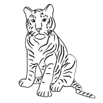 isolated sketch of a tiger sitting