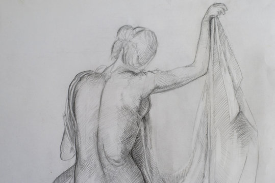 Sketch of a woman with no clothes from behind