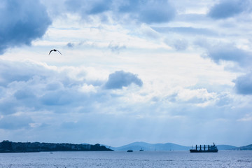 Cargo ship passing through Istanbul sea.
