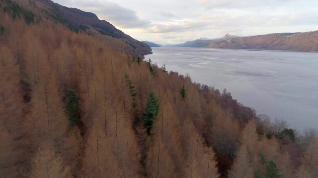 The Forests and Waters of Loch Ness in Scotland